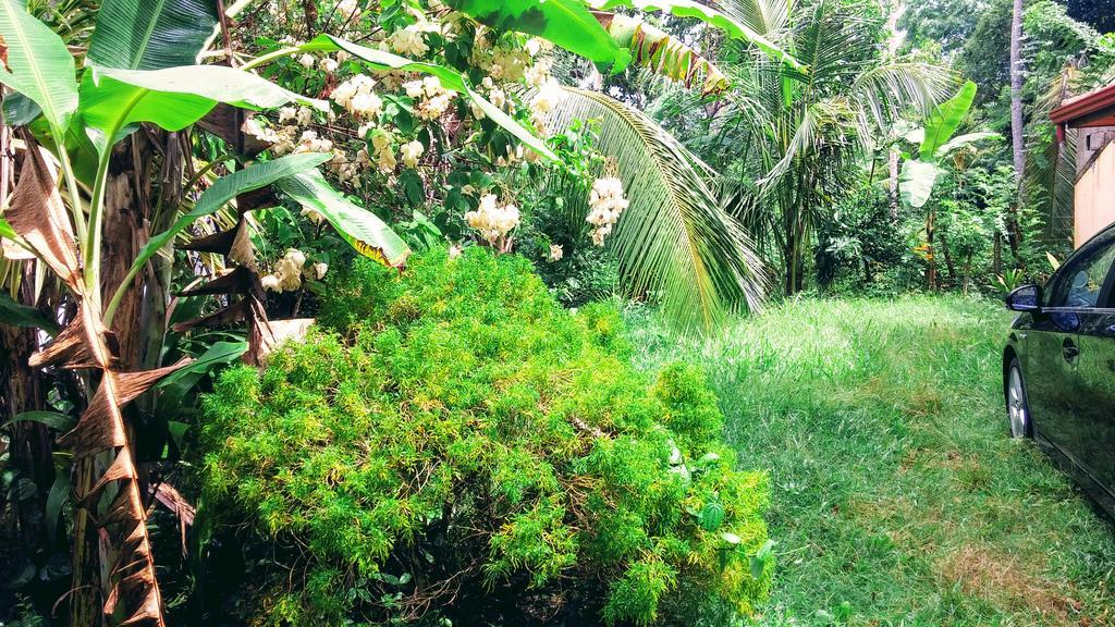Nature Villa แทนกาลเล ภายนอก รูปภาพ